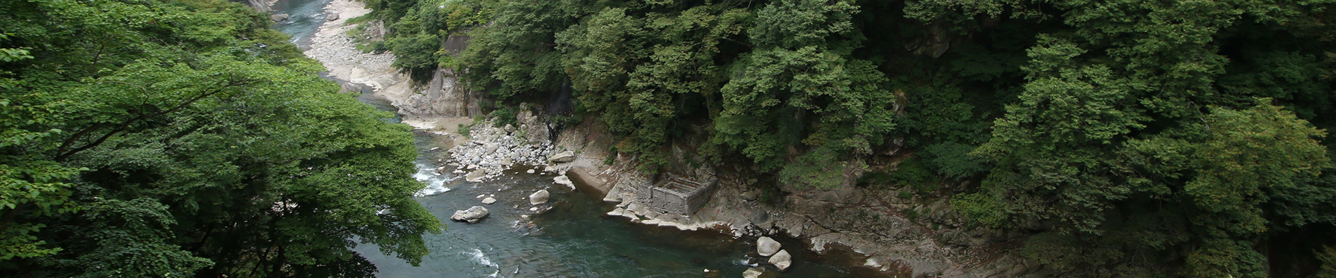 雄大な大川の流れを望む渓谷